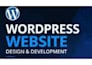 build a reponsive wordpress website for your business